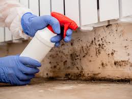 Mold Remediation for Rental Properties in Amherst, WI